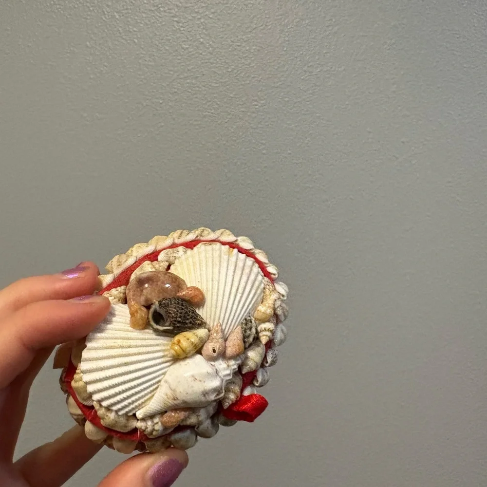Seashell Jewelry Holder